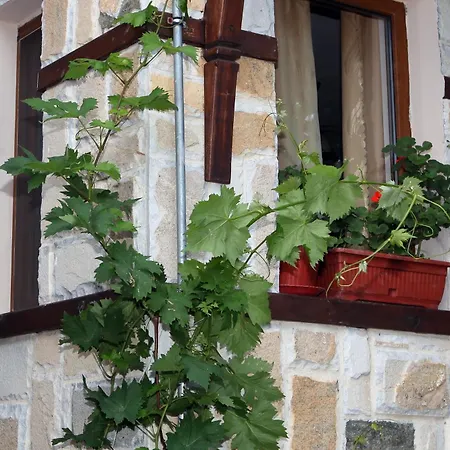 Maison d'hôtes Fotini 2 Sozopol